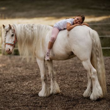 michaelaraningeranikapferdunbenanntefotosession090