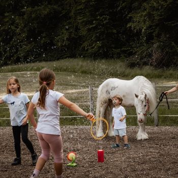 michaelaraningeranikapferdunbenanntefotosession119