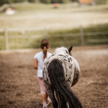 michaelaraningeranikapferdunbenanntefotosession152